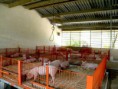/album/fotogaleria/a1798632-588074934614072-1447479193-n-jpg1/